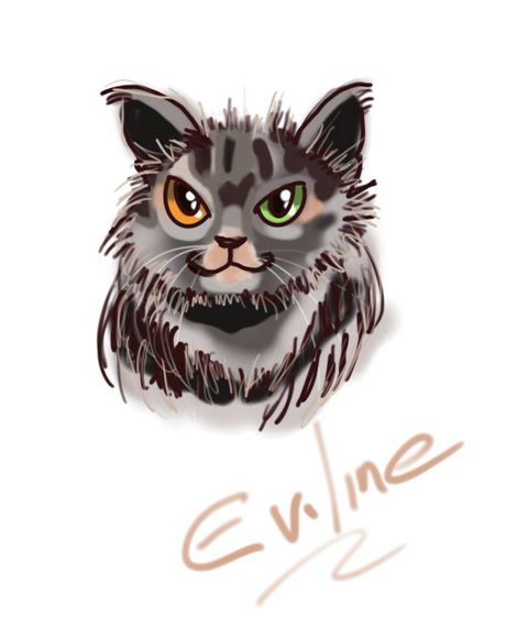 Eviline;470x572