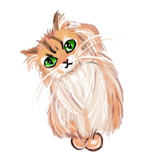 Ginger kitten;456x527