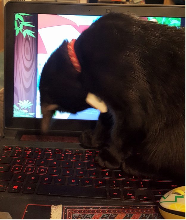 Dee Leana Carter, Author;625x738